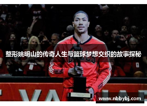 整形姚明山的传奇人生与篮球梦想交织的故事探秘