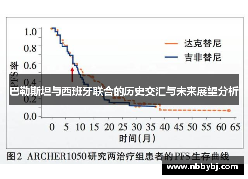 巴勒斯坦与西班牙联合的历史交汇与未来展望分析